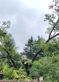 Beseitigung eines Sturmschadens